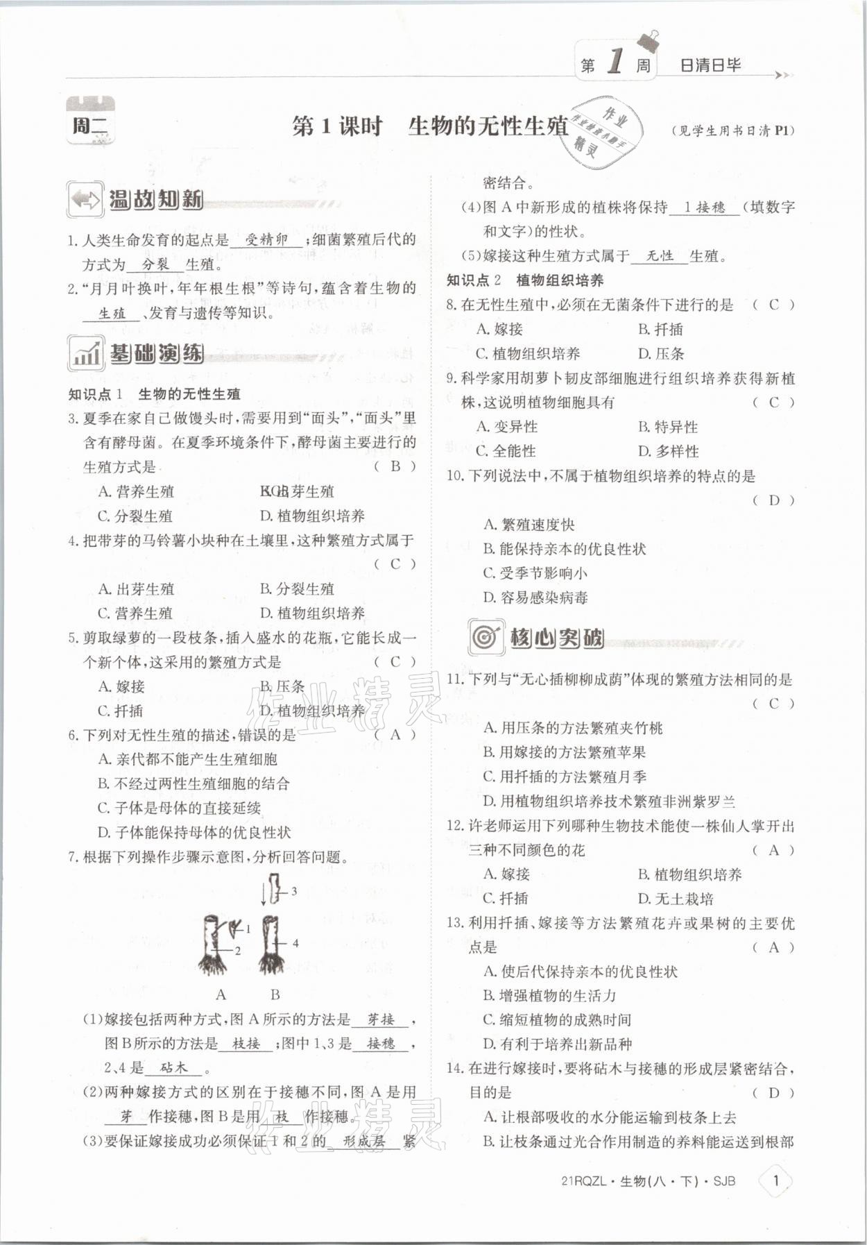 2021年日清周练八年级生物下册苏教版 参考答案第1页