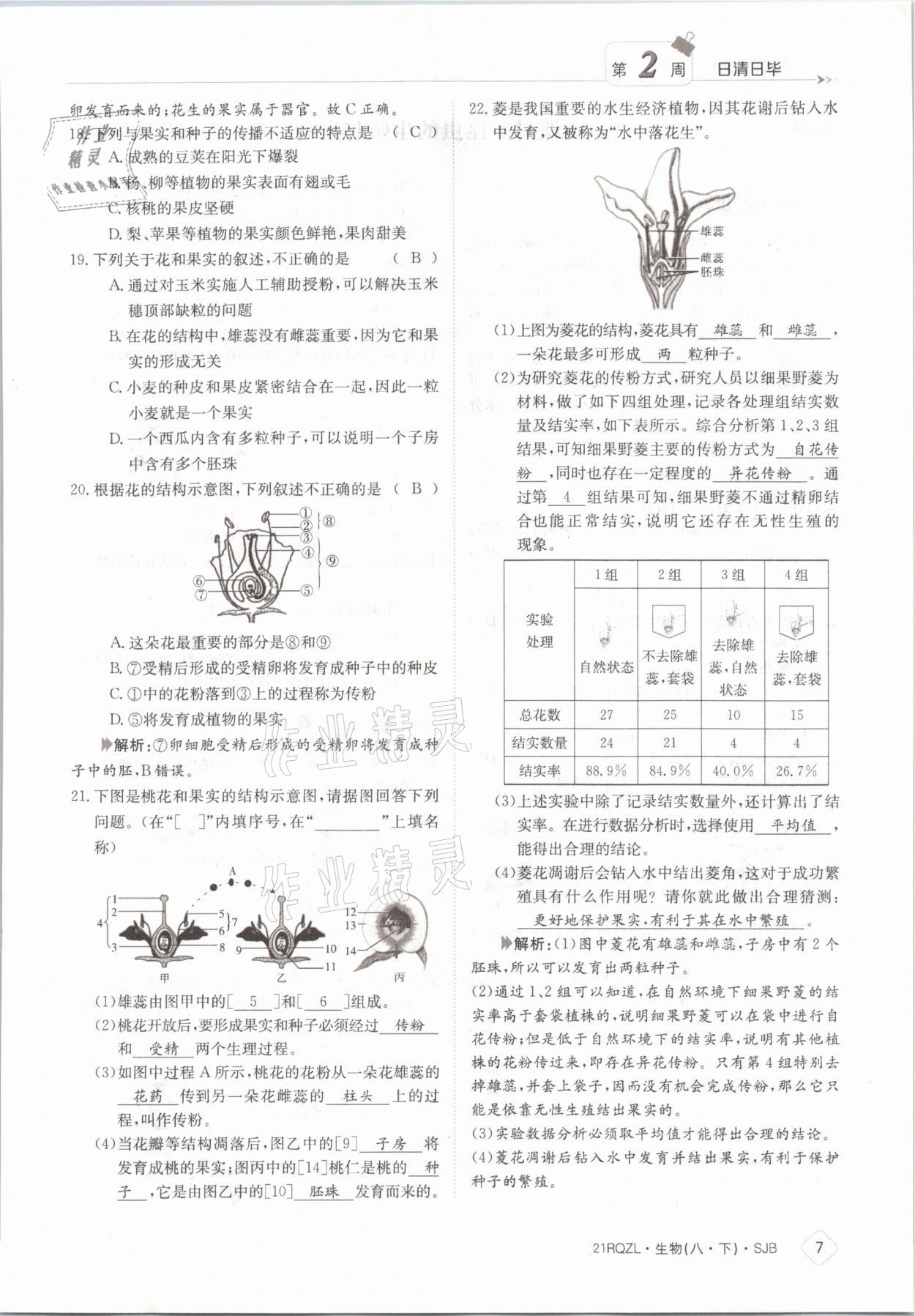 2021年日清周練八年級(jí)生物下冊蘇教版 參考答案第7頁