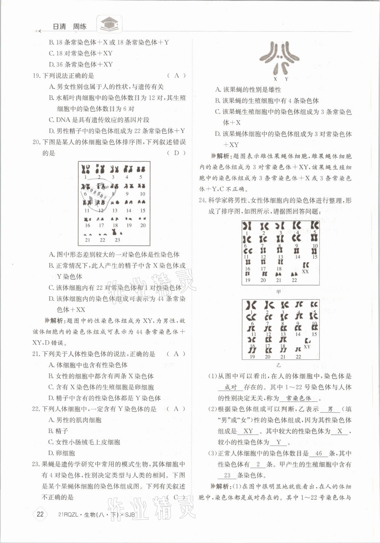 2021年日清周練八年級(jí)生物下冊(cè)蘇教版 參考答案第22頁(yè)