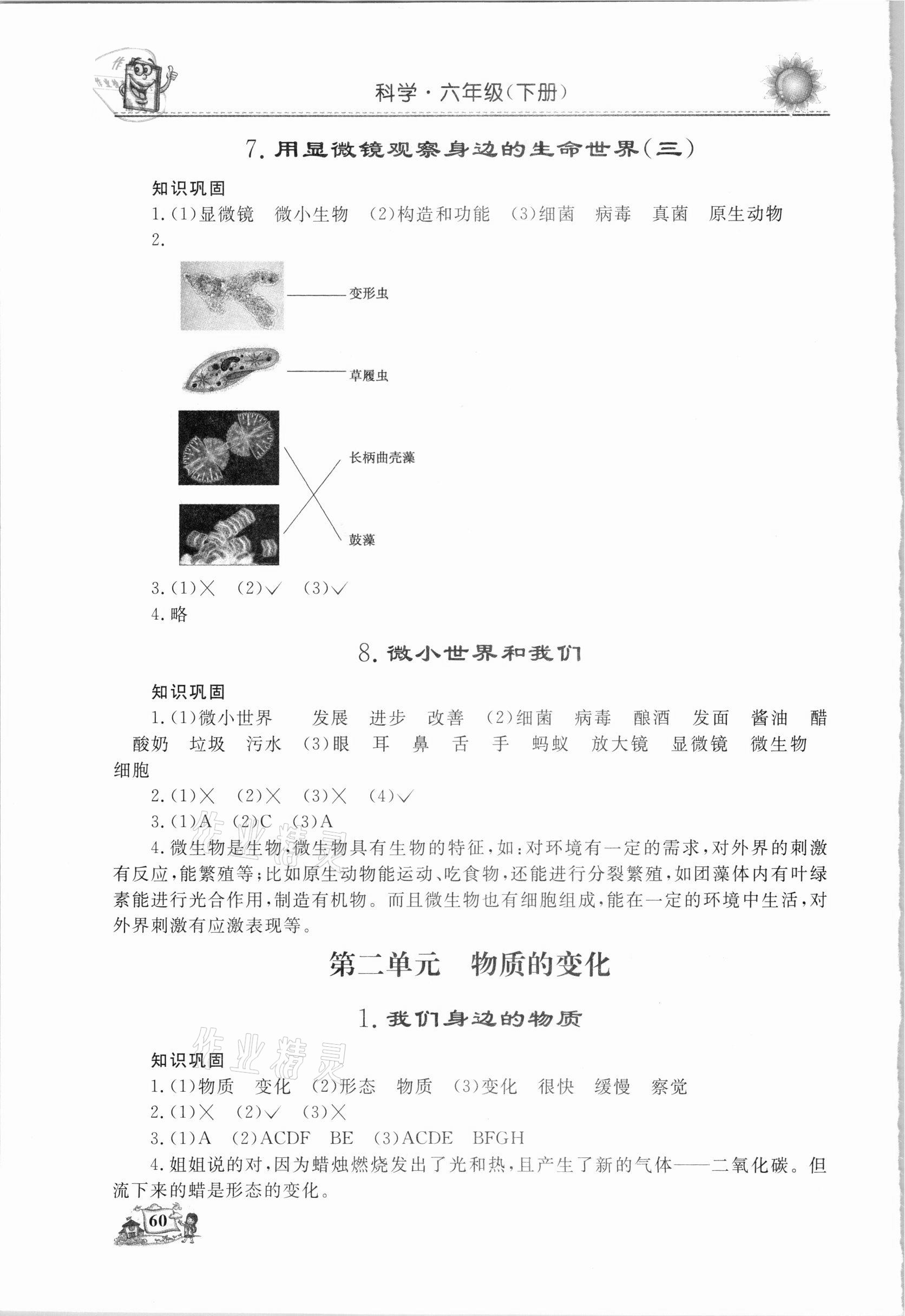 2021年名師導(dǎo)學(xué)伴你行同步練習(xí)六年級(jí)科學(xué)下冊(cè)青島版 參考答案第3頁(yè)