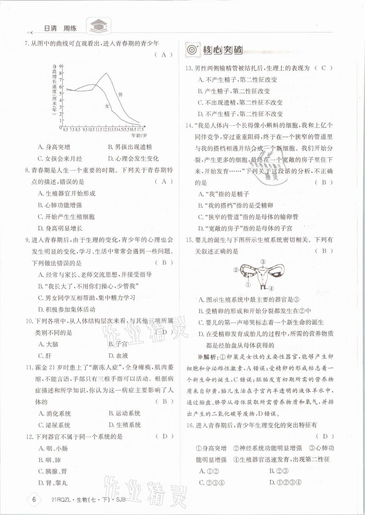 2021年日清周練七年級生物下冊蘇教版 參考答案第6頁