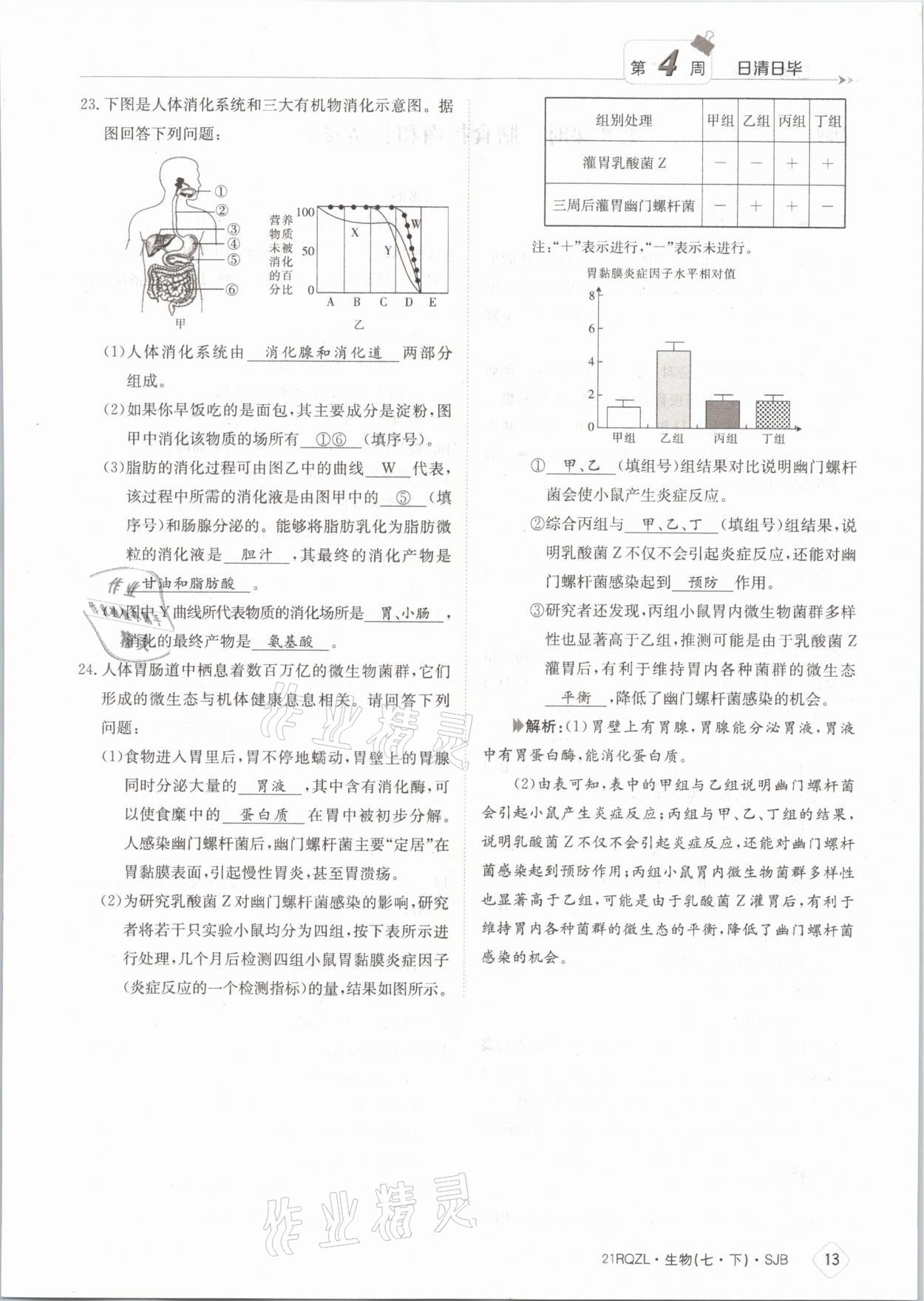 2021年日清周練七年級生物下冊蘇教版 參考答案第13頁