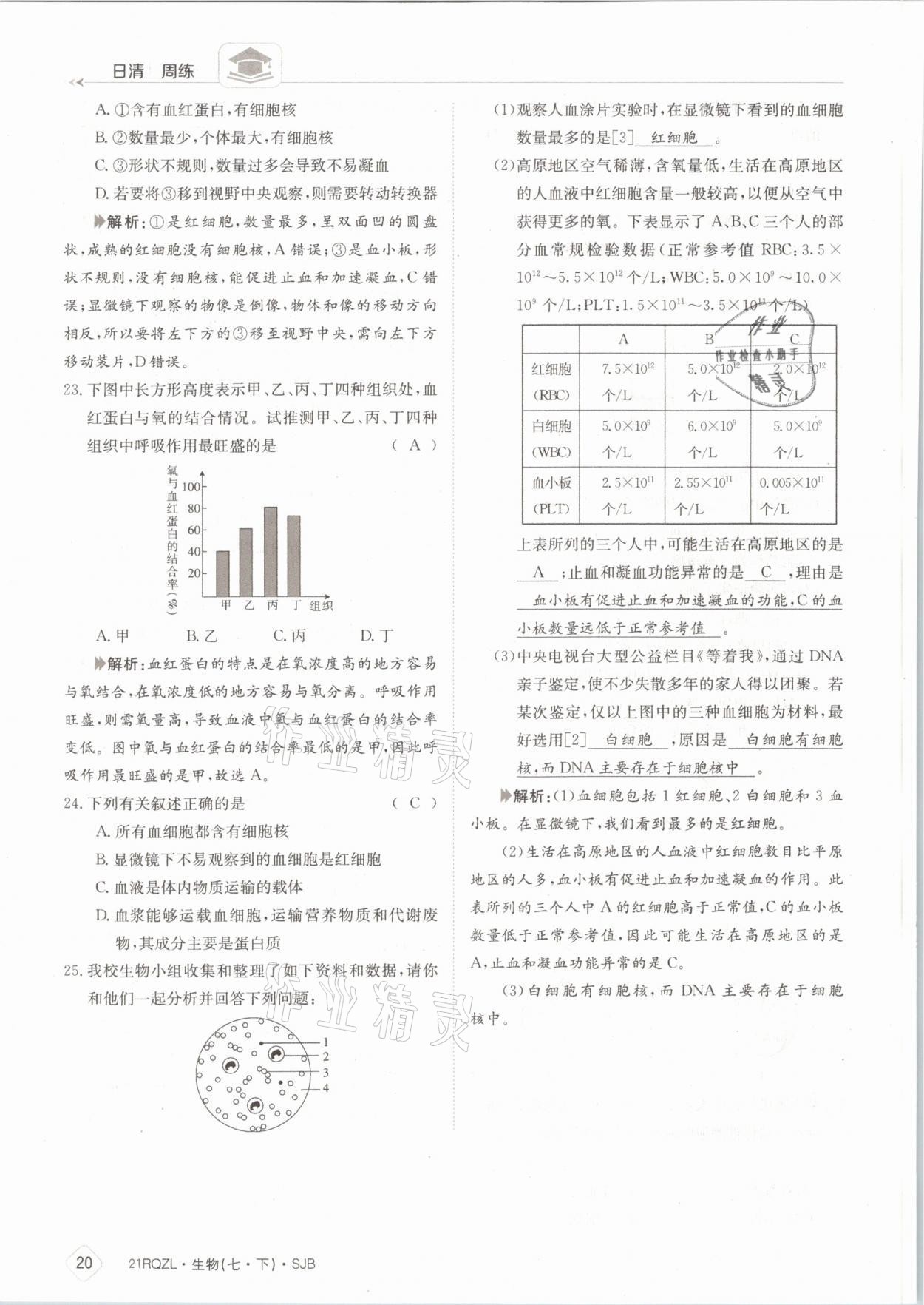 2021年日清周練七年級生物下冊蘇教版 參考答案第20頁