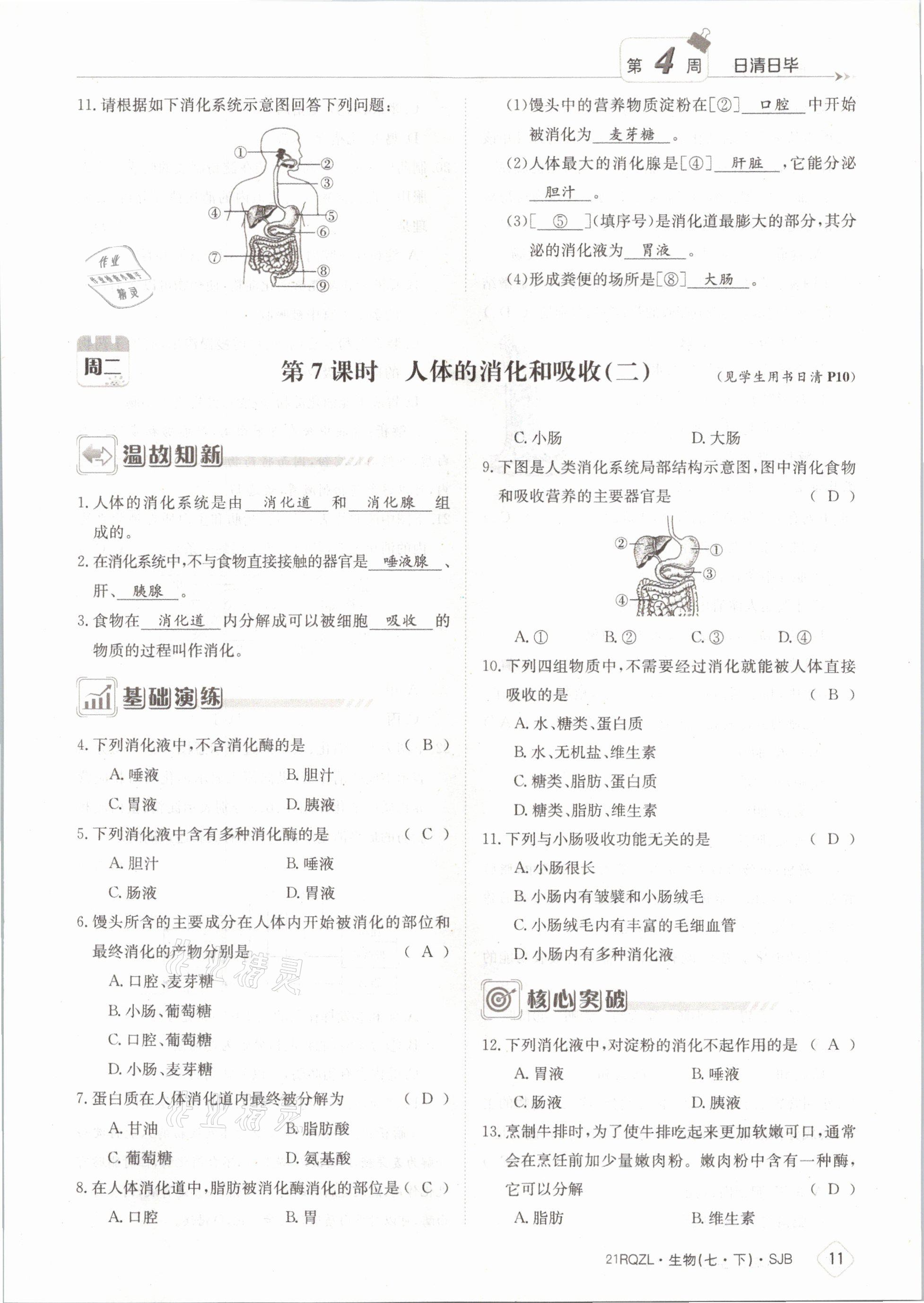 2021年日清周練七年級生物下冊蘇教版 參考答案第11頁