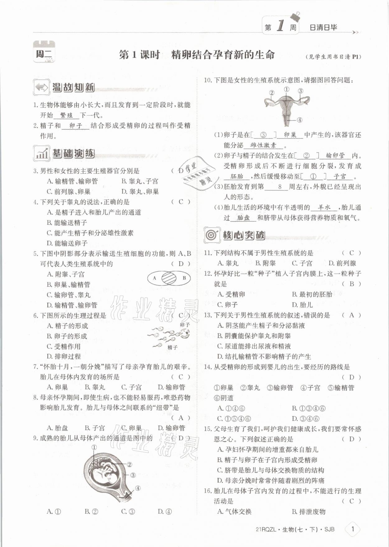 2021年日清周练七年级生物下册苏教版 参考答案第1页