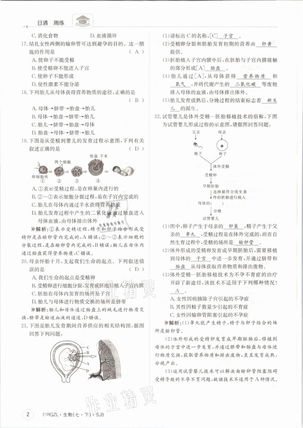 2021年日清周練七年級生物下冊蘇教版 參考答案第2頁