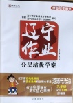 2021年遼寧作業(yè)分層培優(yōu)學(xué)案九年級道德與法治下冊人教版