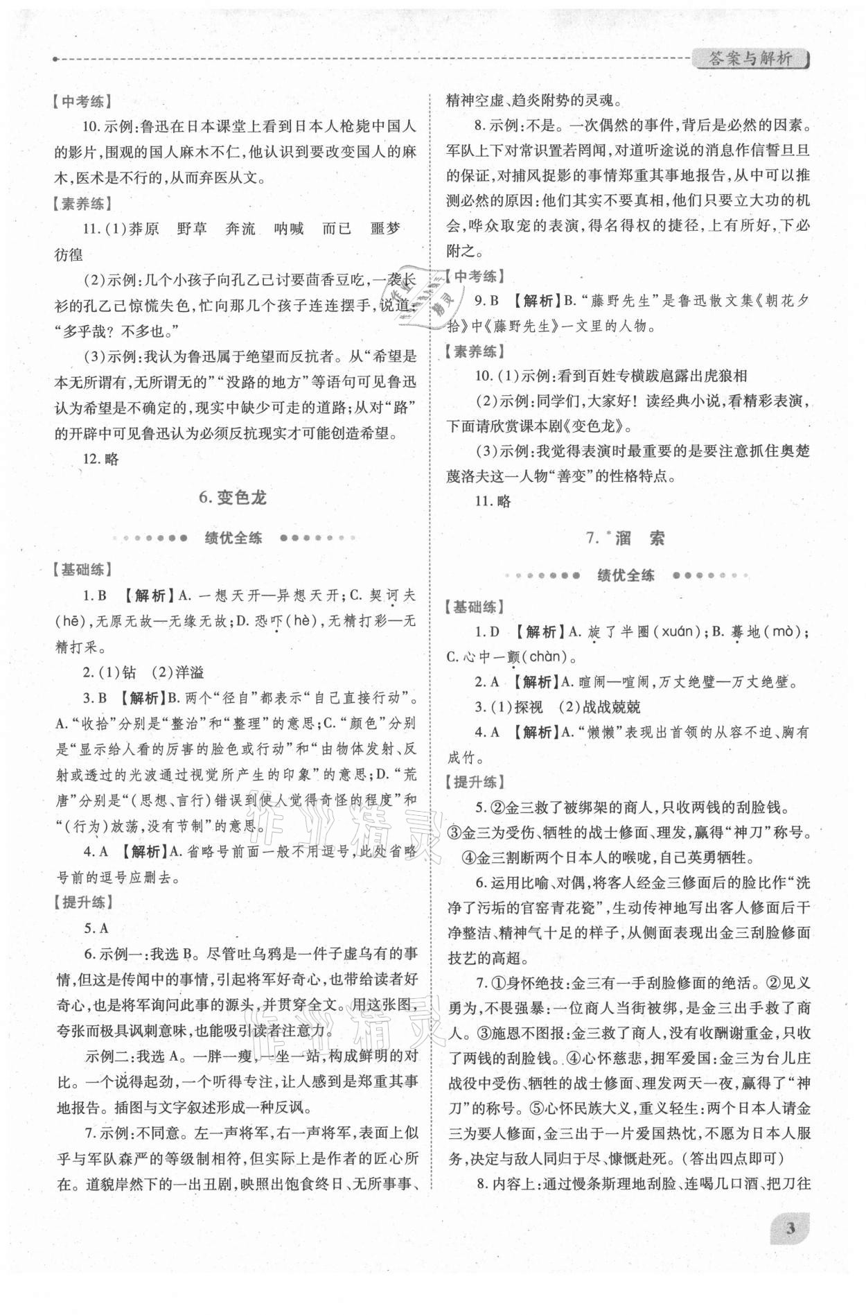 2021年绩优学案九年级语文下册人教版 第3页