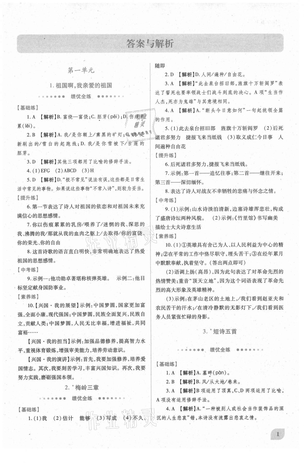 2021年绩优学案九年级语文下册人教版 第1页