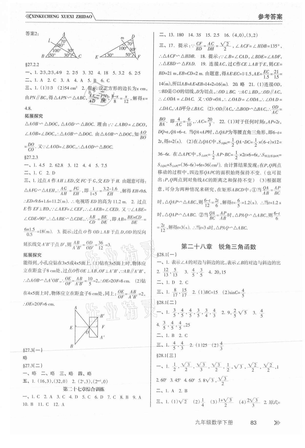 2021年新課程學(xué)習(xí)指導(dǎo)九年級數(shù)學(xué)下冊人教版南方出版社 第3頁