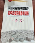 2021年同步解析與測評初中總復習指導與訓練語文