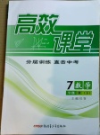 2021年高效課堂分層訓練直擊中考七年級數(shù)學下冊人教版