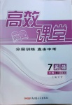 2021年高效課堂分層訓(xùn)練直擊中考七年級(jí)英語(yǔ)下冊(cè)人教版