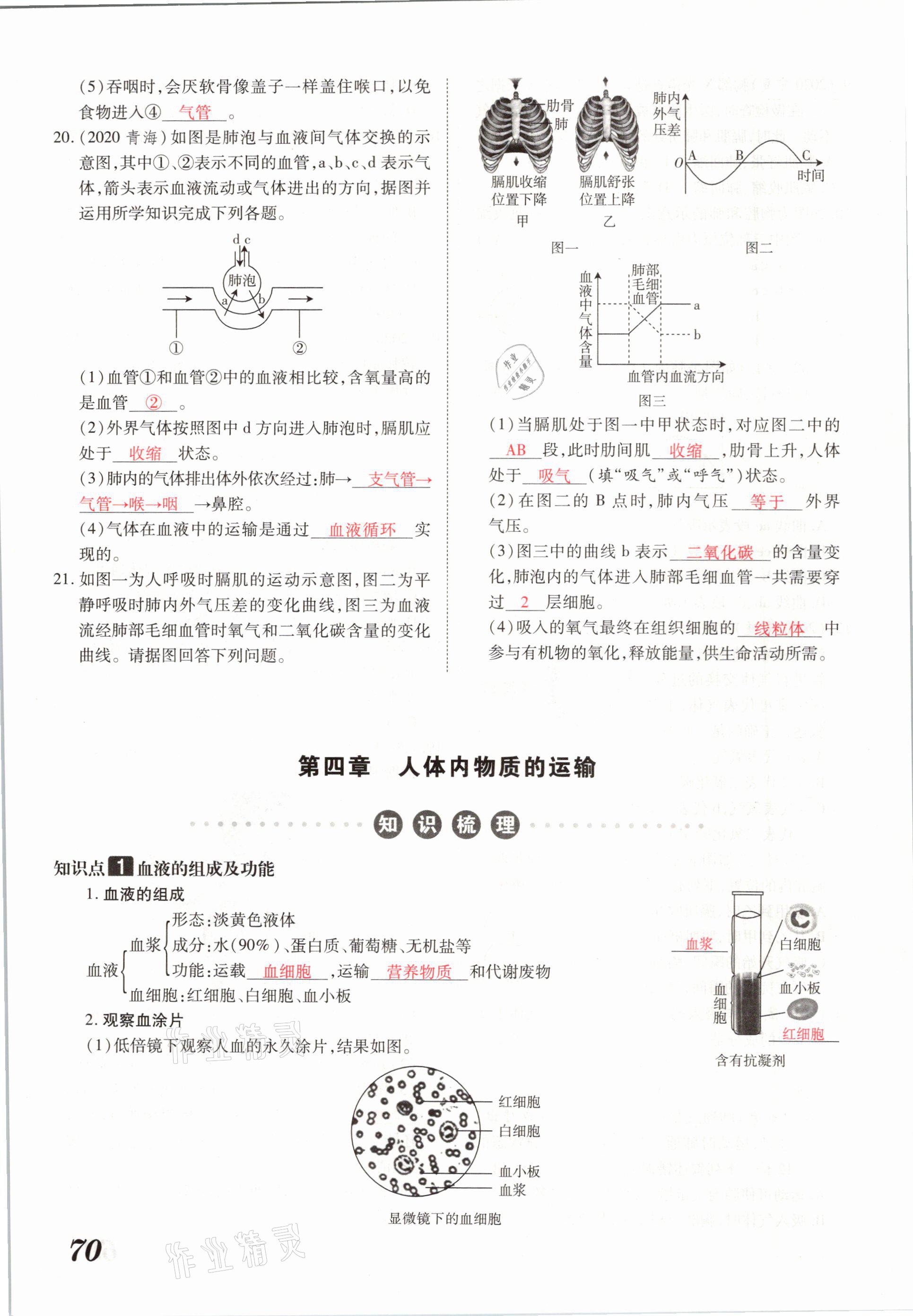 2021年領(lǐng)跑中考生物河南專版 參考答案第70頁