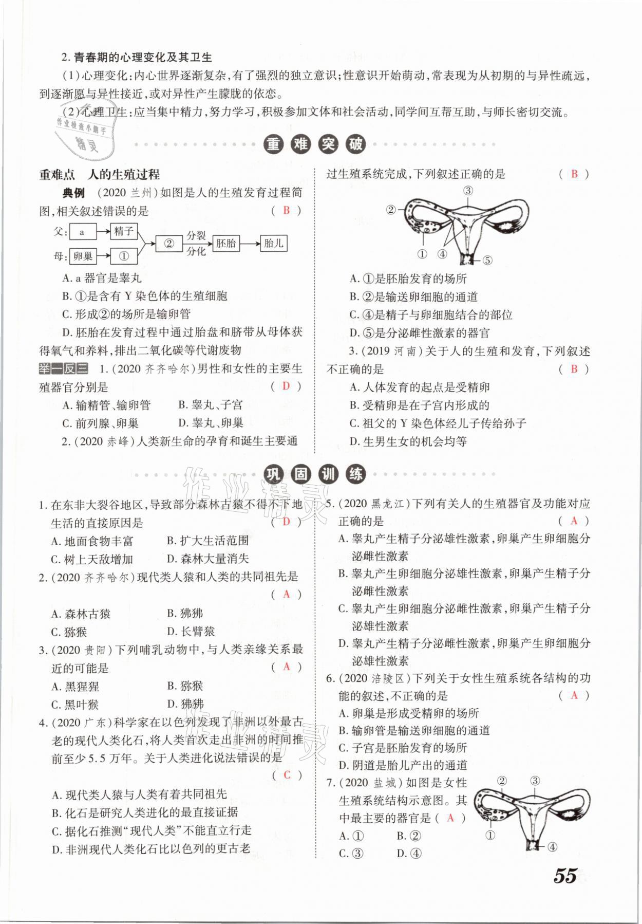 2021年領(lǐng)跑中考生物河南專版 參考答案第55頁