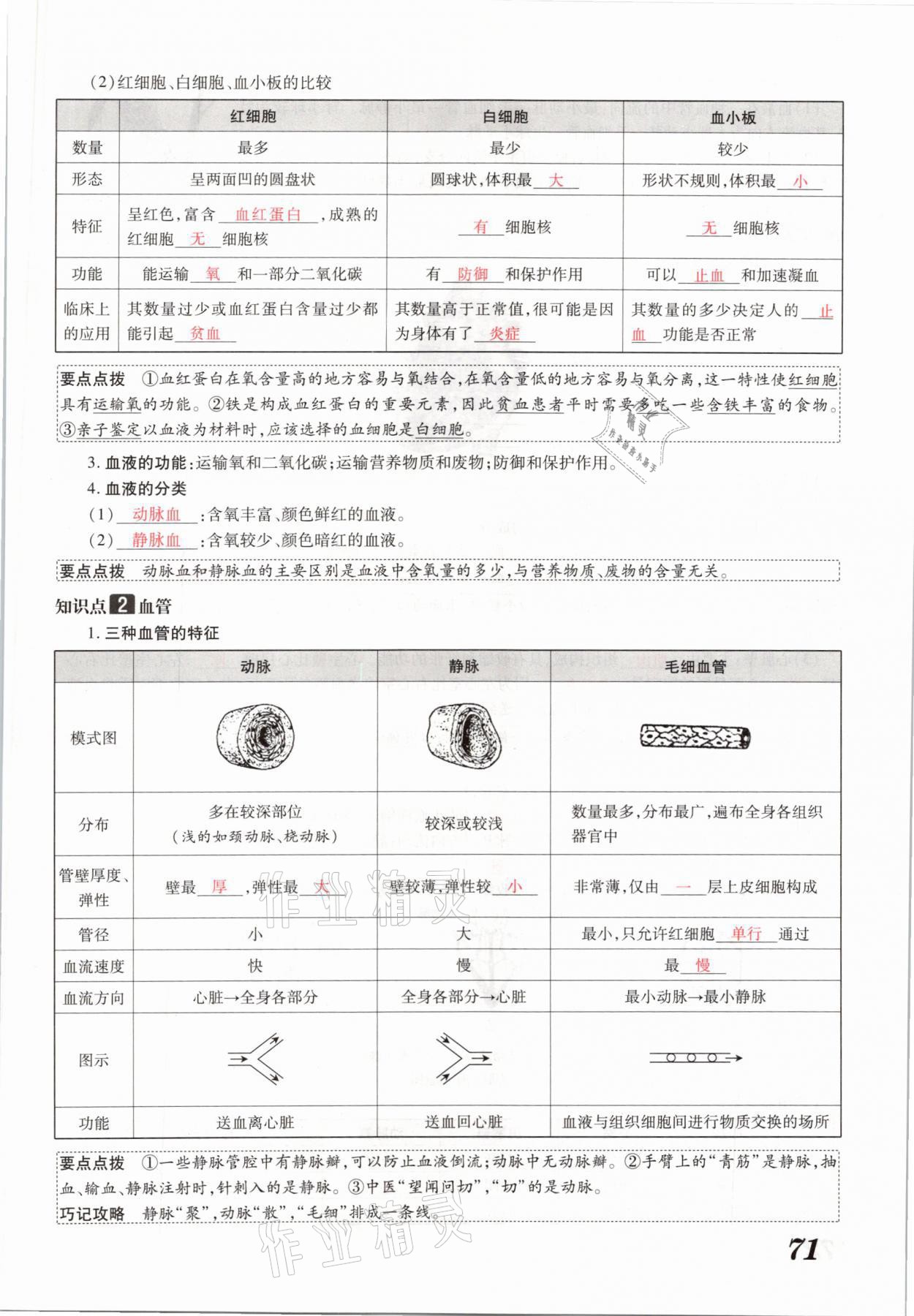 2021年領(lǐng)跑中考生物河南專版 參考答案第71頁