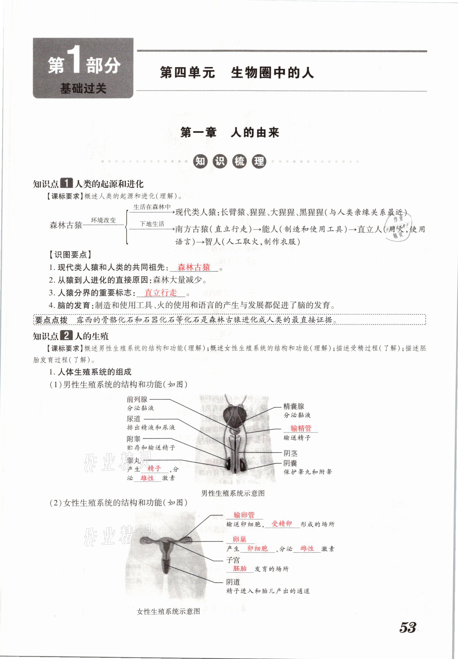 2021年領(lǐng)跑中考生物河南專版 參考答案第53頁