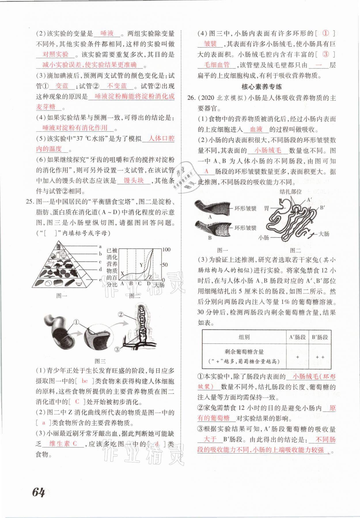 2021年領(lǐng)跑中考生物河南專版 參考答案第64頁