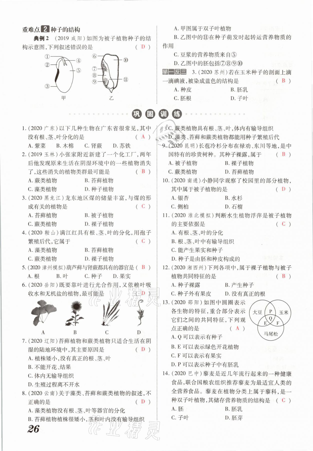 2021年領(lǐng)跑中考生物河南專版 參考答案第26頁(yè)