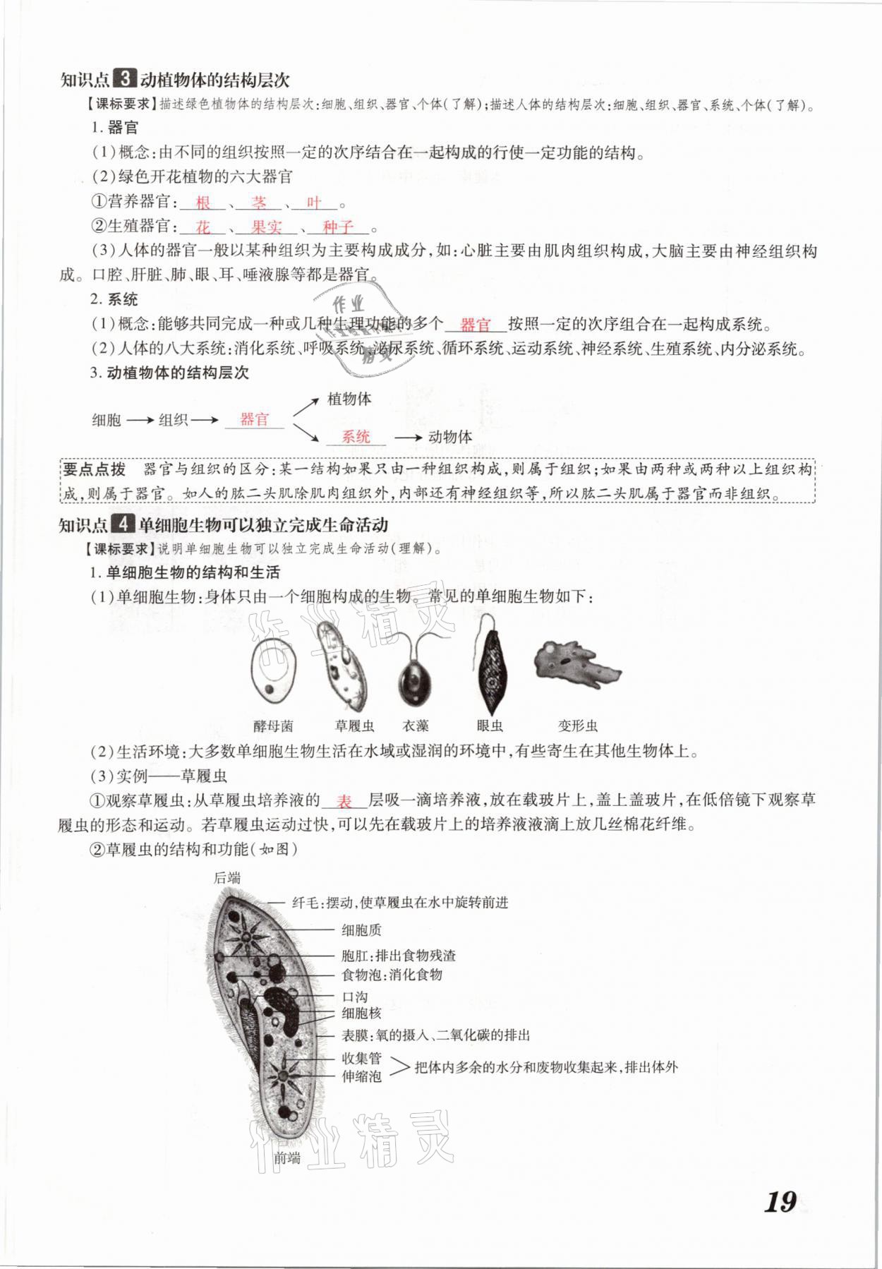 2021年領(lǐng)跑中考生物河南專版 參考答案第19頁