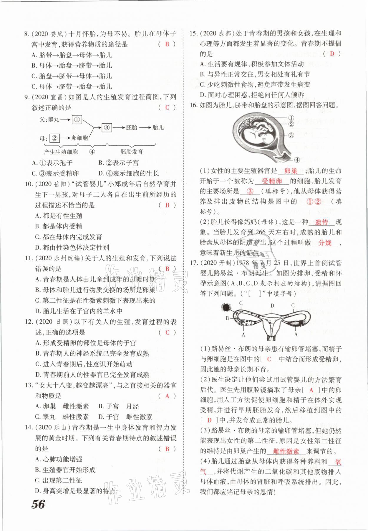 2021年領(lǐng)跑中考生物河南專版 參考答案第56頁