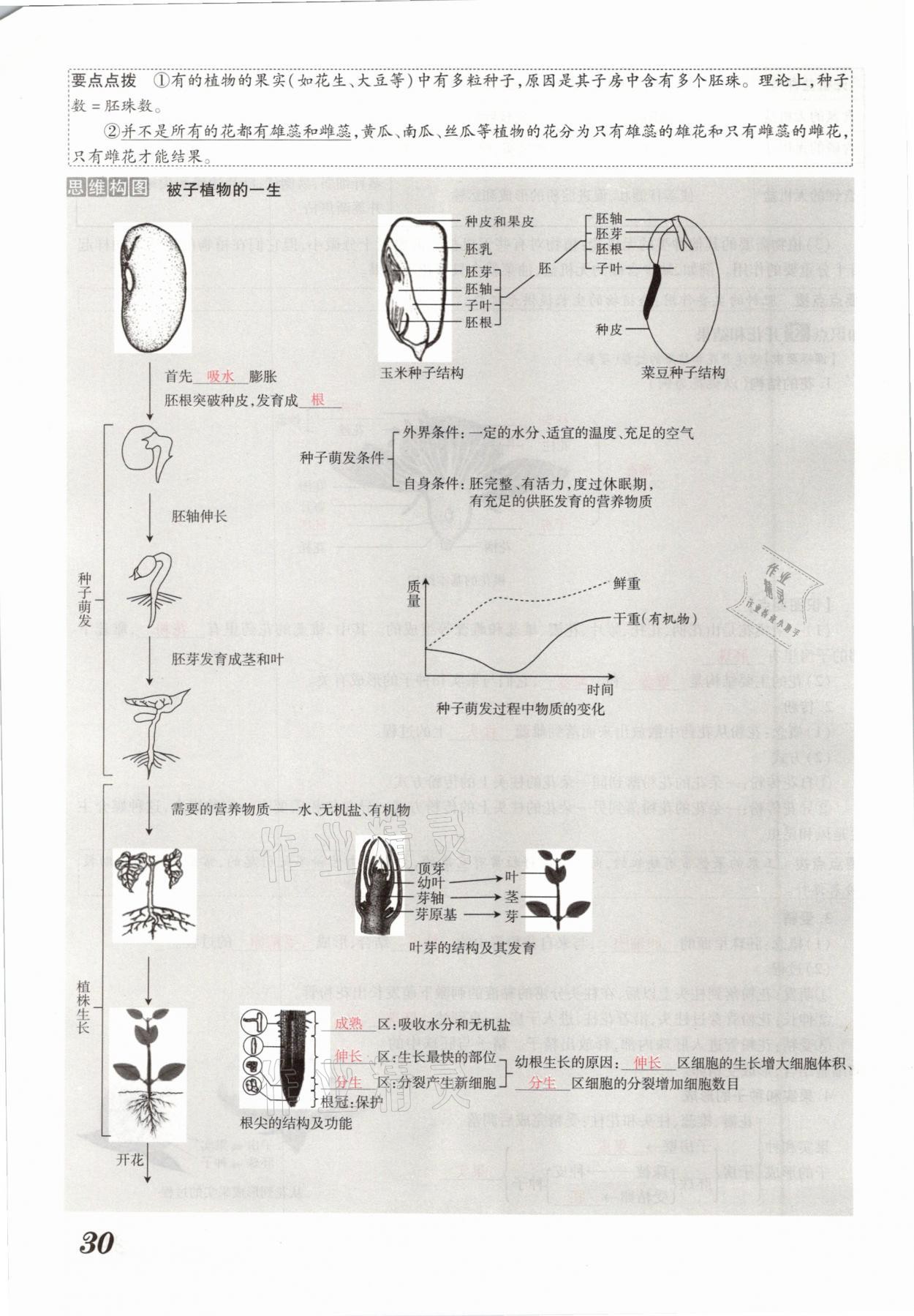 2021年領(lǐng)跑中考生物河南專(zhuān)版 參考答案第30頁(yè)