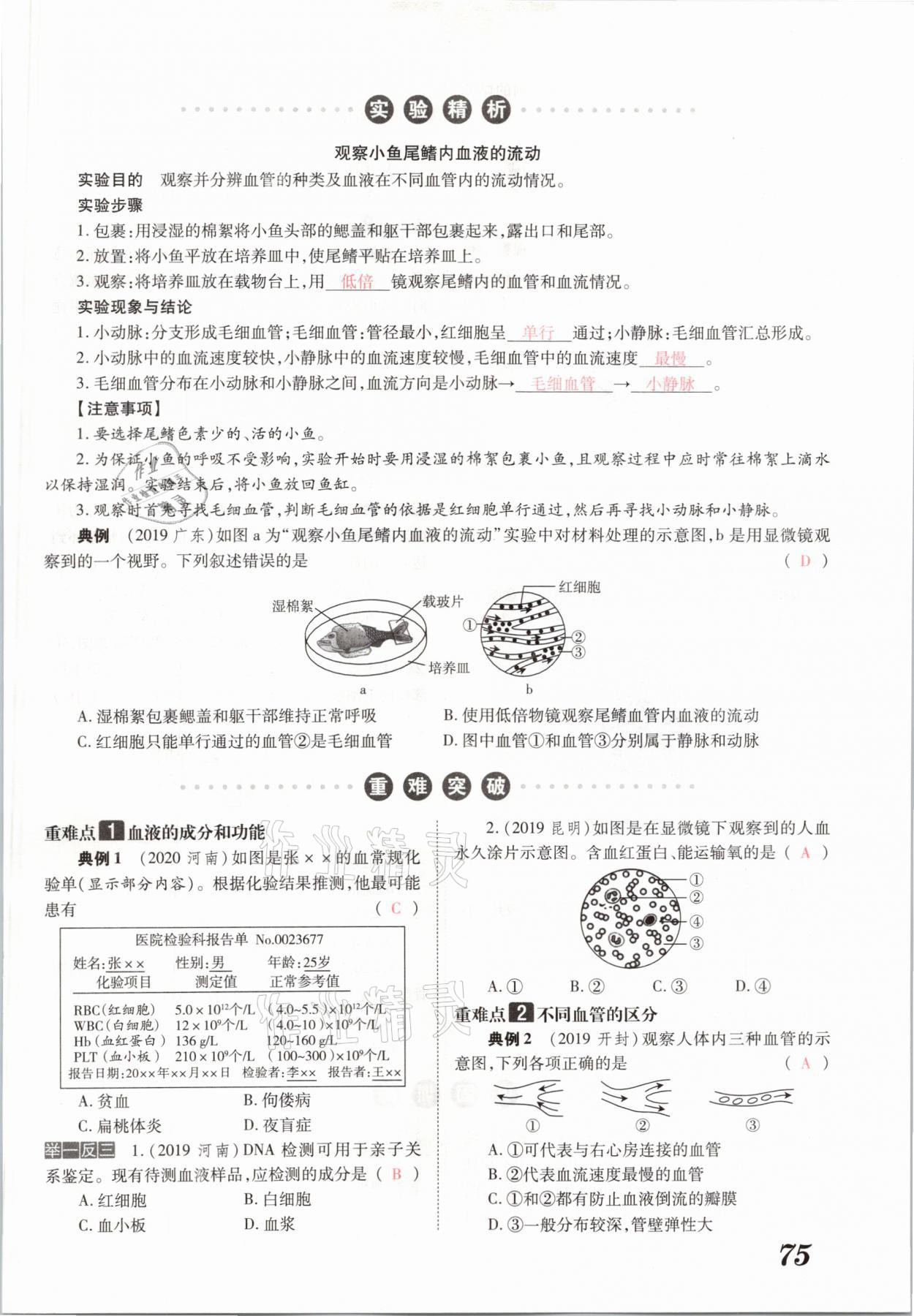 2021年領跑中考生物河南專版 參考答案第75頁