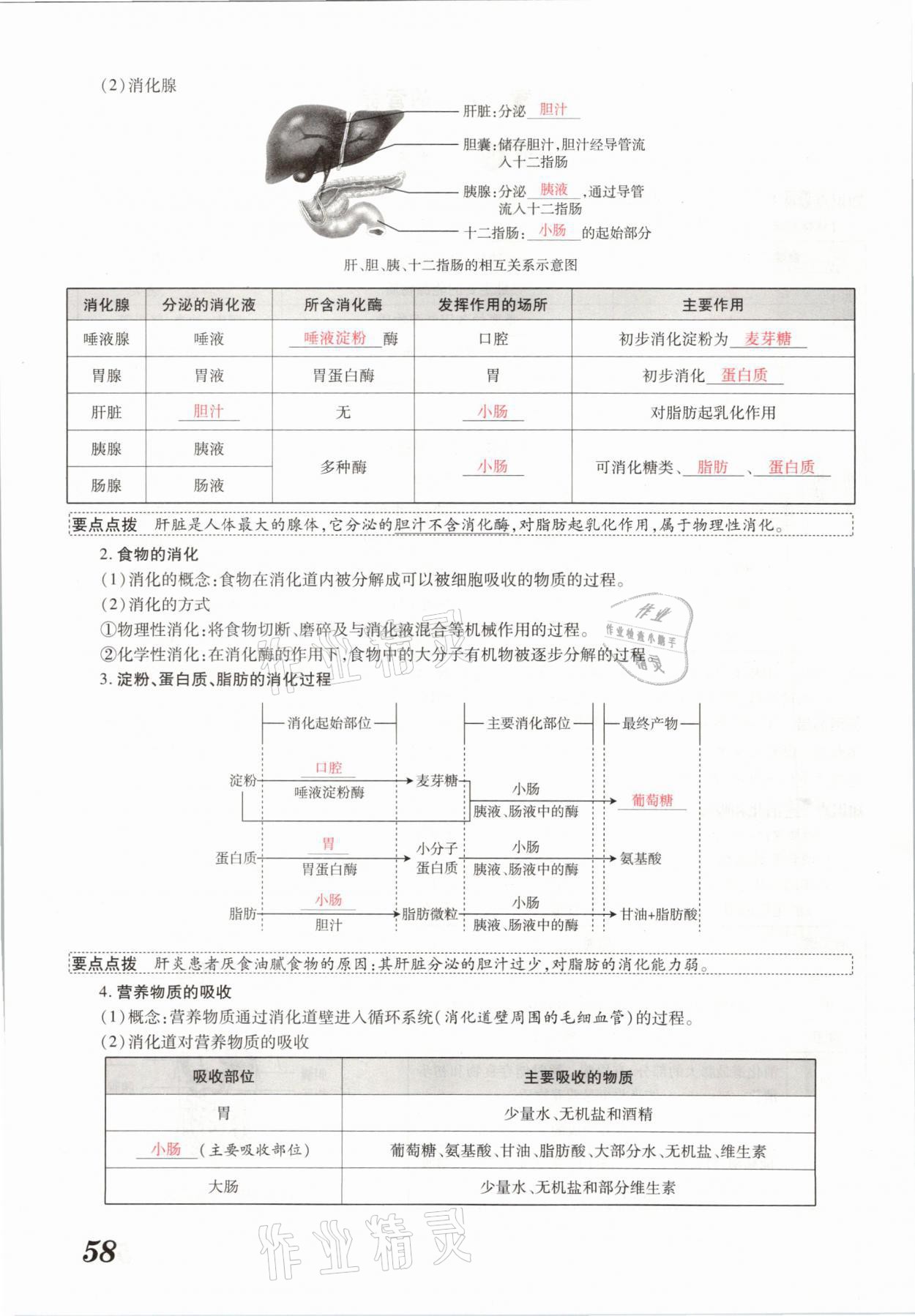 2021年領(lǐng)跑中考生物河南專版 參考答案第58頁(yè)