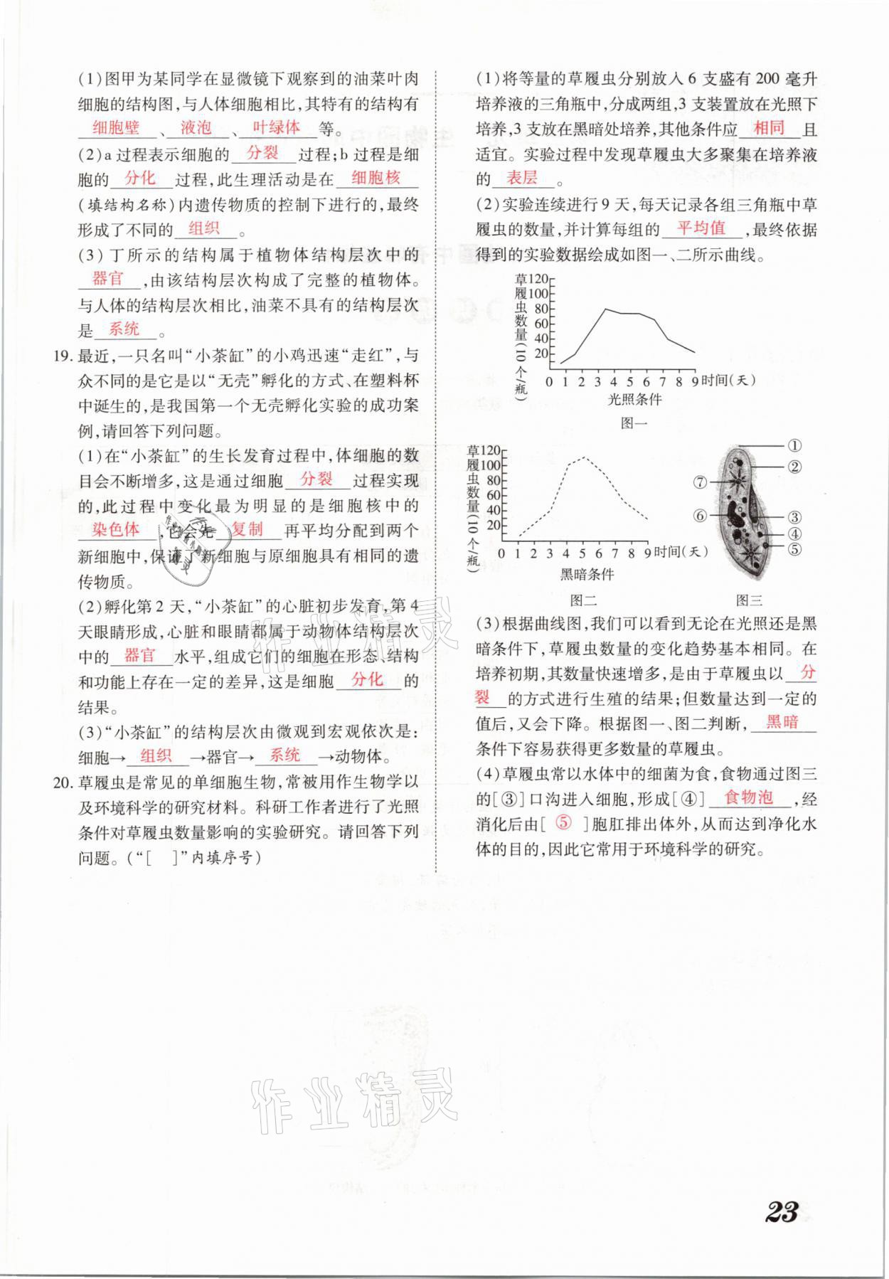 2021年領(lǐng)跑中考生物河南專版 參考答案第23頁