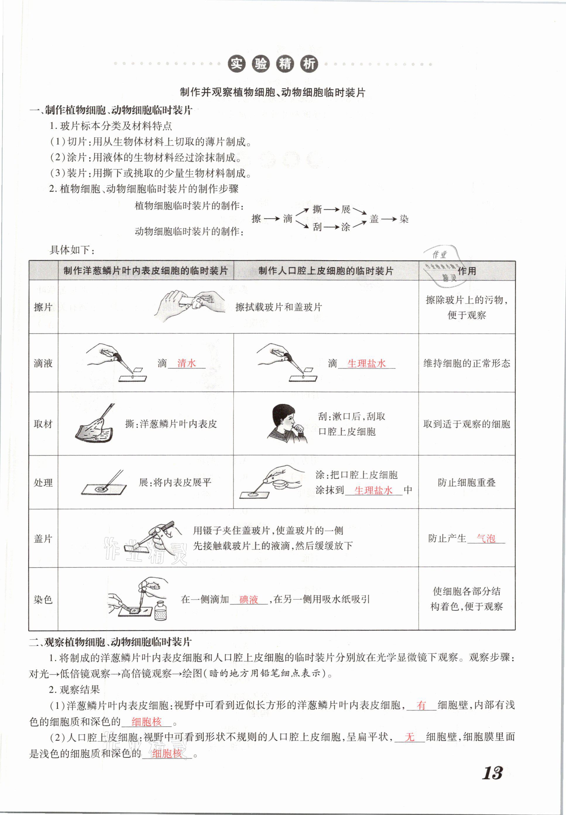 2021年領(lǐng)跑中考生物河南專版 參考答案第13頁