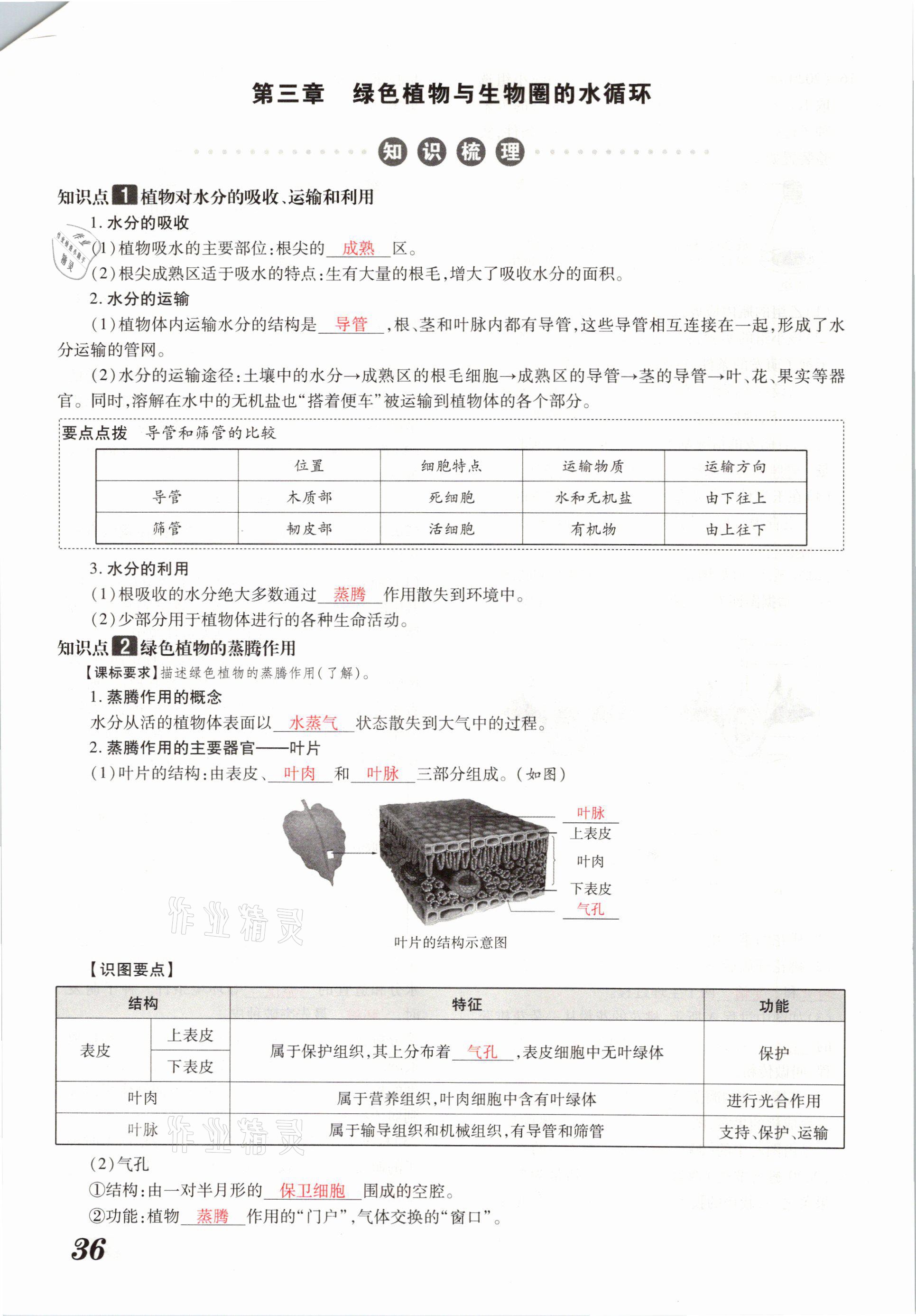 2021年領(lǐng)跑中考生物河南專版 參考答案第36頁(yè)