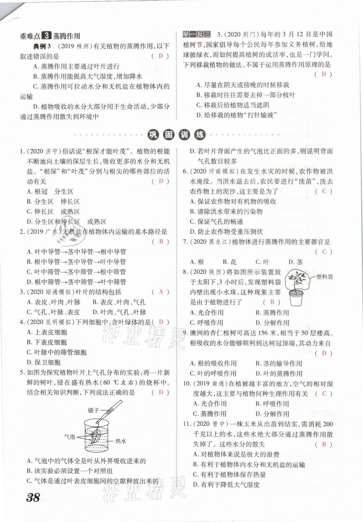 2021年領跑中考生物河南專版 參考答案第38頁