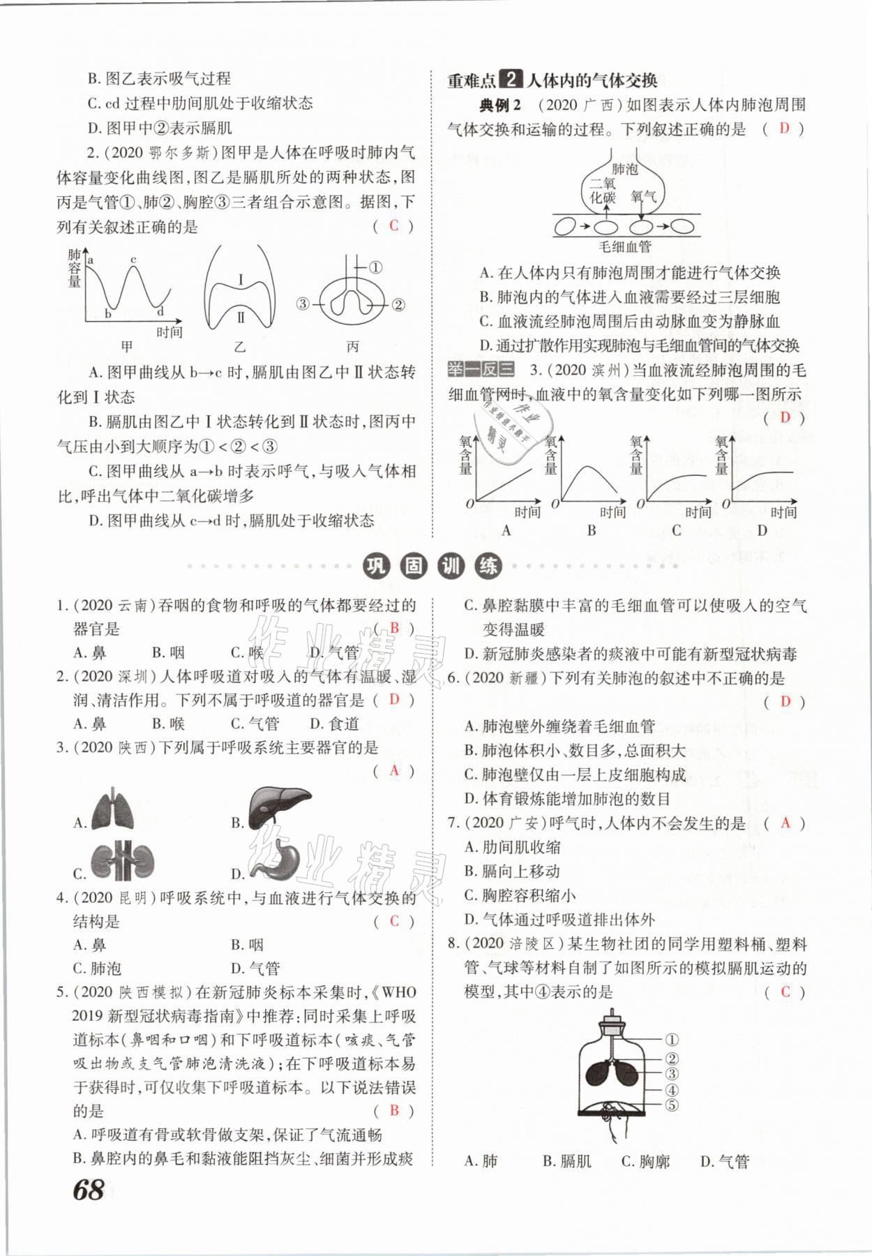 2021年領(lǐng)跑中考生物河南專版 參考答案第68頁