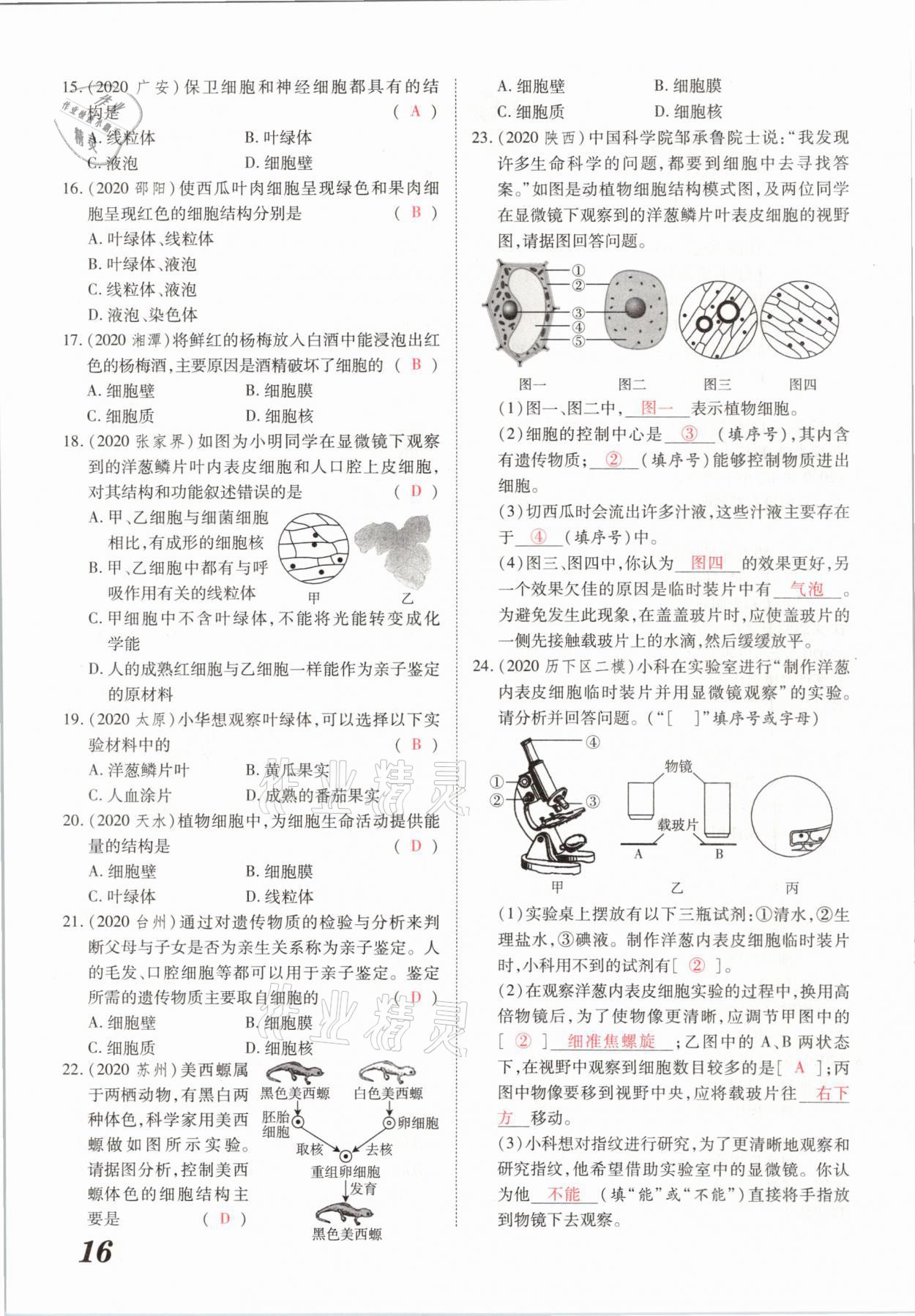 2021年領(lǐng)跑中考生物河南專版 參考答案第16頁