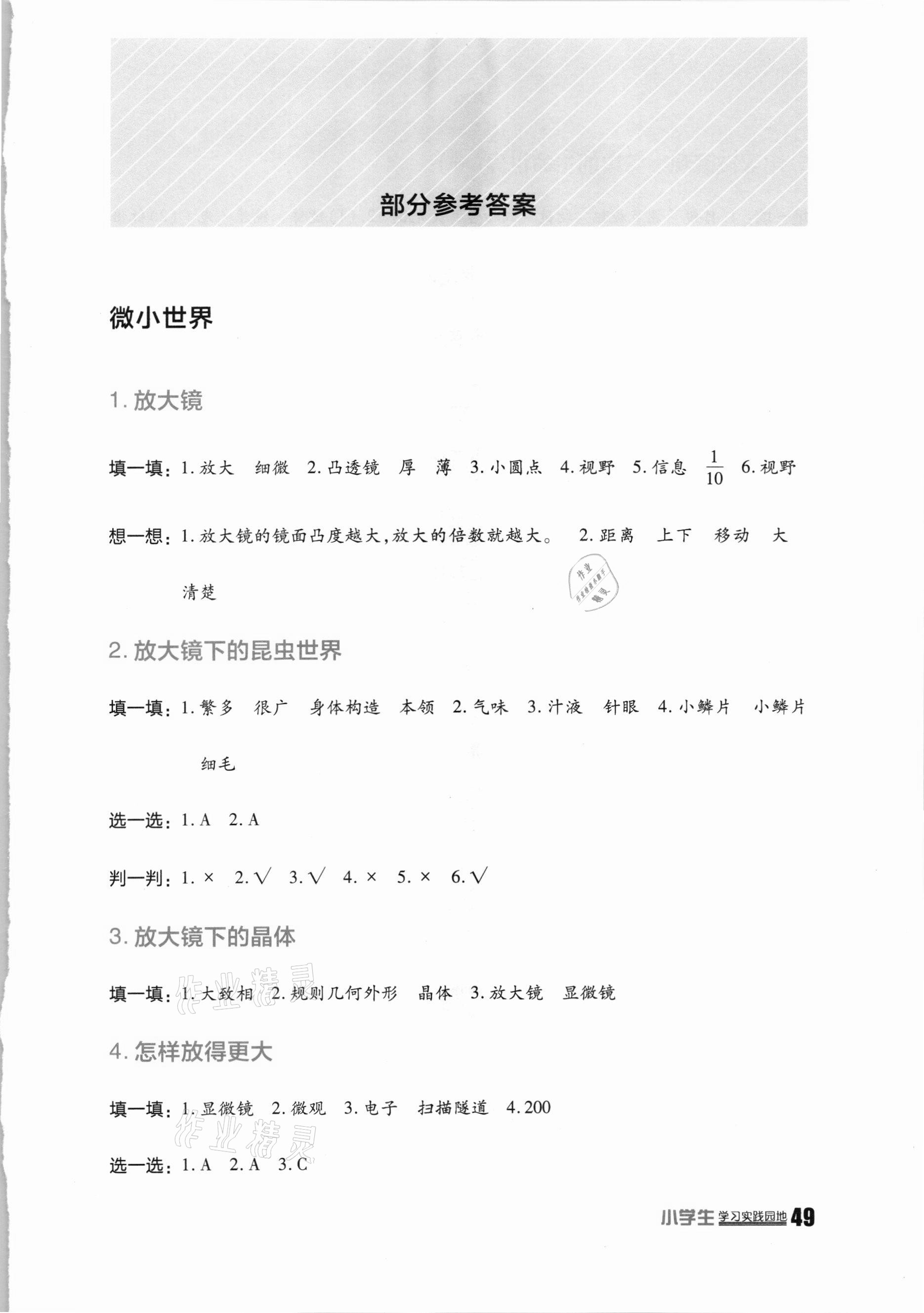 2021年學習實踐園地六年級科學下冊教科版 第1頁