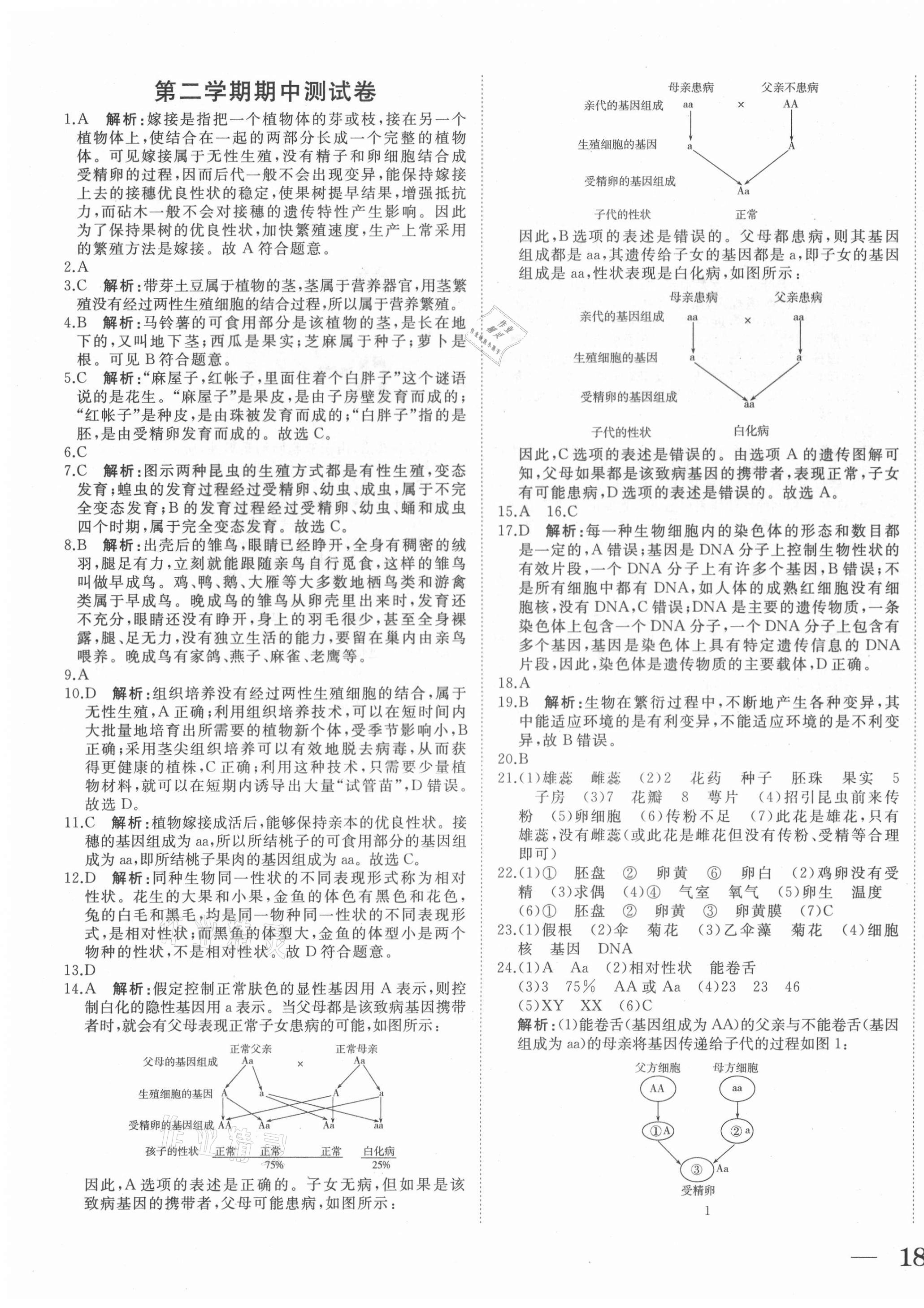 2021年抖練吧八年級(jí)生物下冊(cè)蘇科版 第3頁