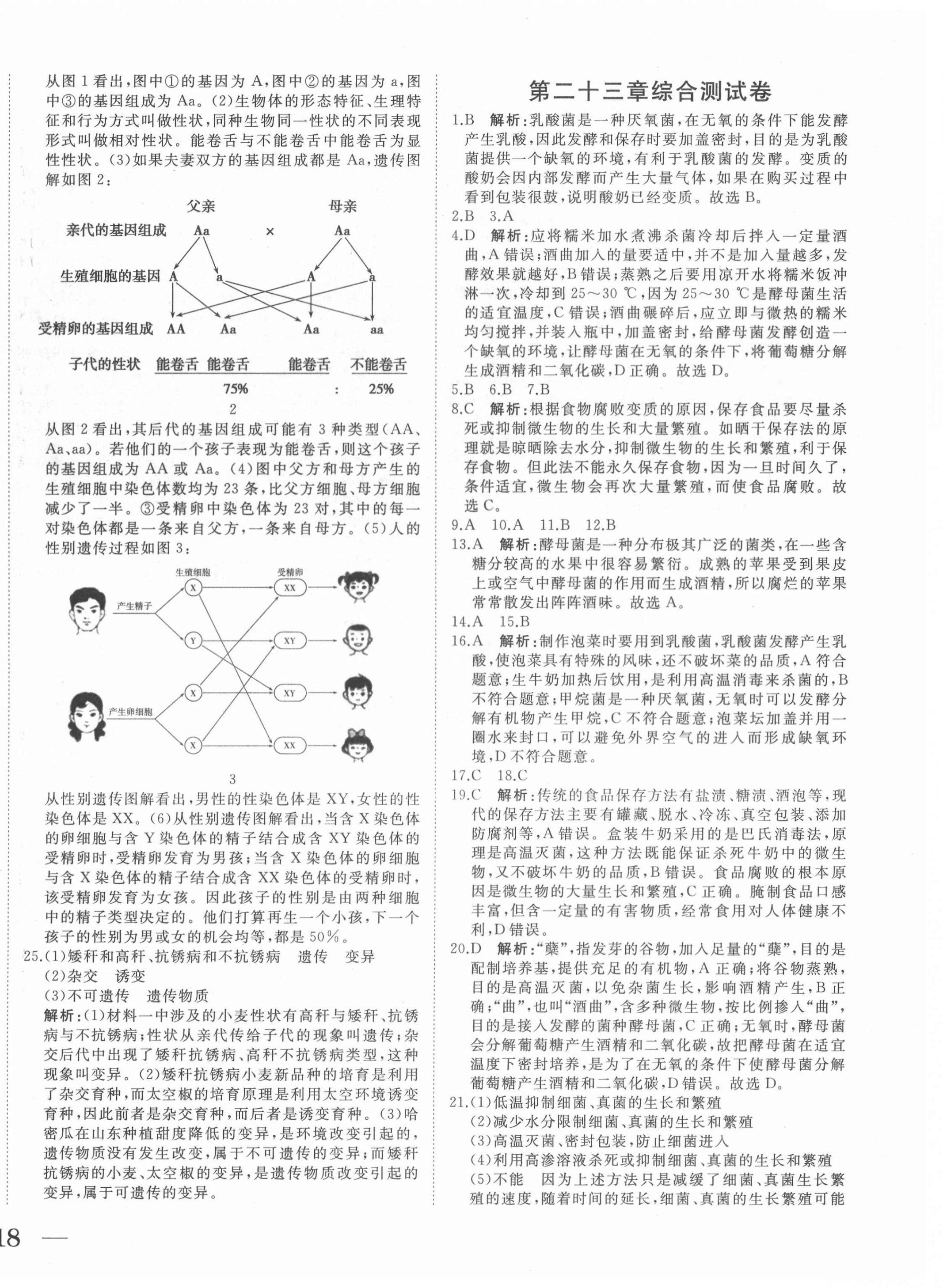 2021年抖練吧八年級生物下冊蘇科版 第4頁