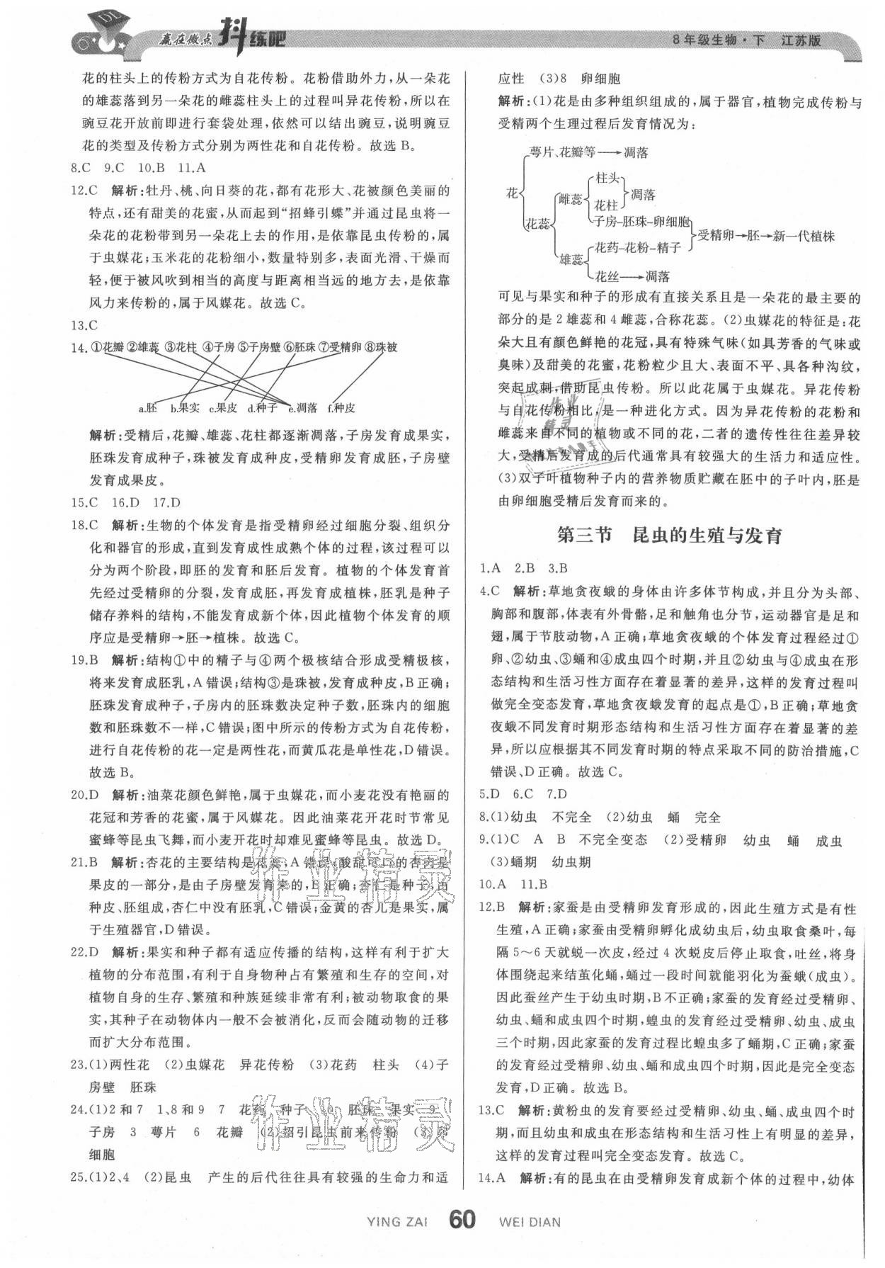 2021年抖練吧八年級(jí)生物下冊(cè)蘇科版 參考答案第2頁