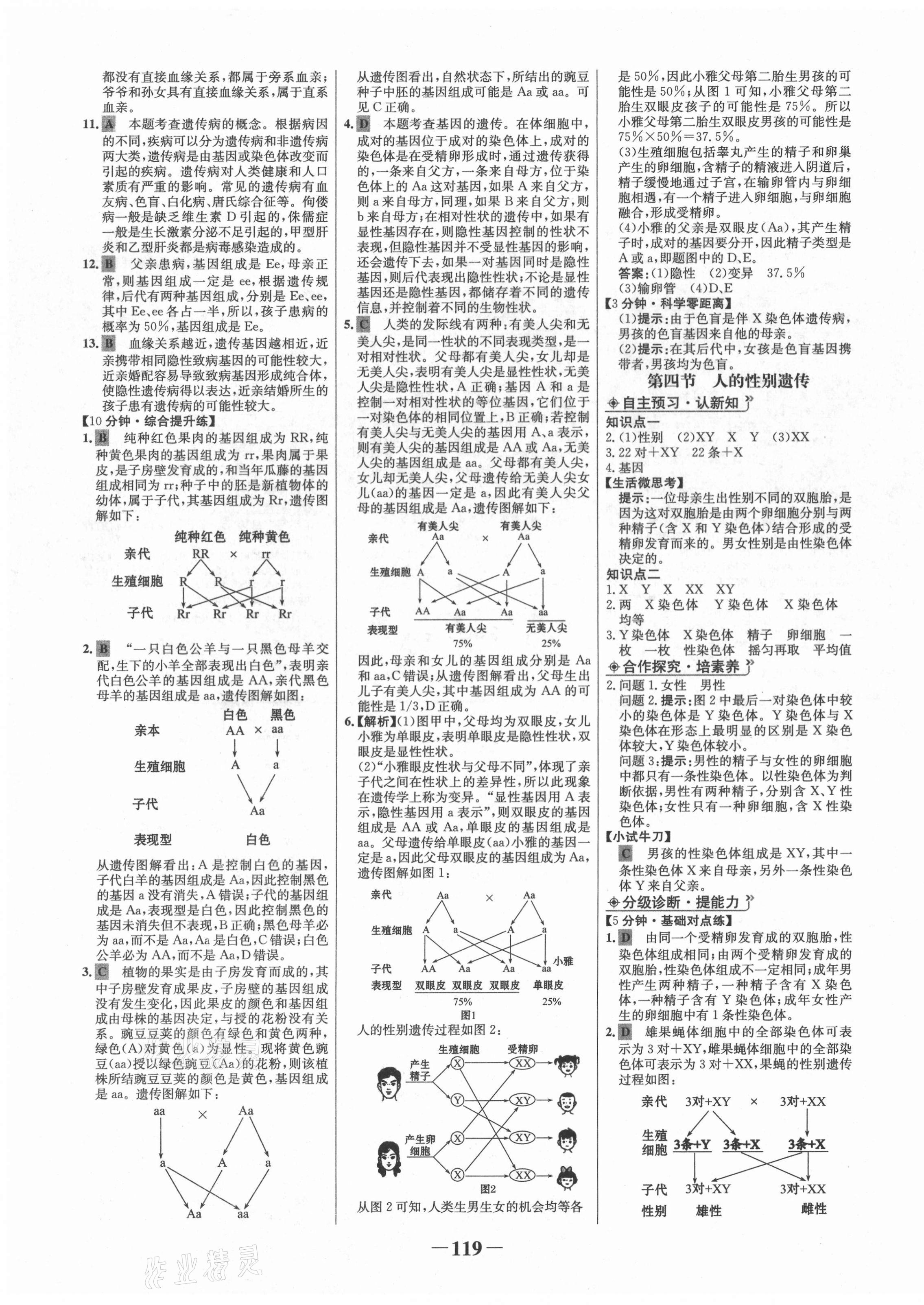 2021年世紀(jì)金榜金榜學(xué)案八年級生物下冊人教版河南專版 第7頁