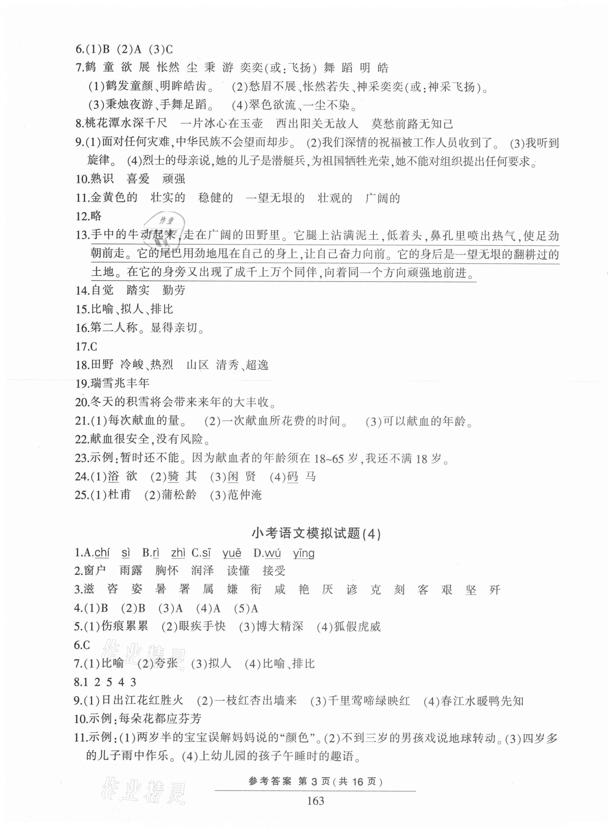 2021年小考模拟试题汇编语文&nbsp;第3页