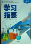 2021年学习指要九年级化学下册人教版重庆专版