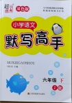 2021年超能學(xué)典默寫高手六年級語文下冊人教版雙色版
