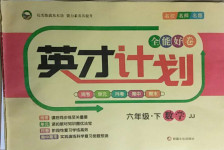 2021年英才計劃全能好卷六年級數學下冊冀教版