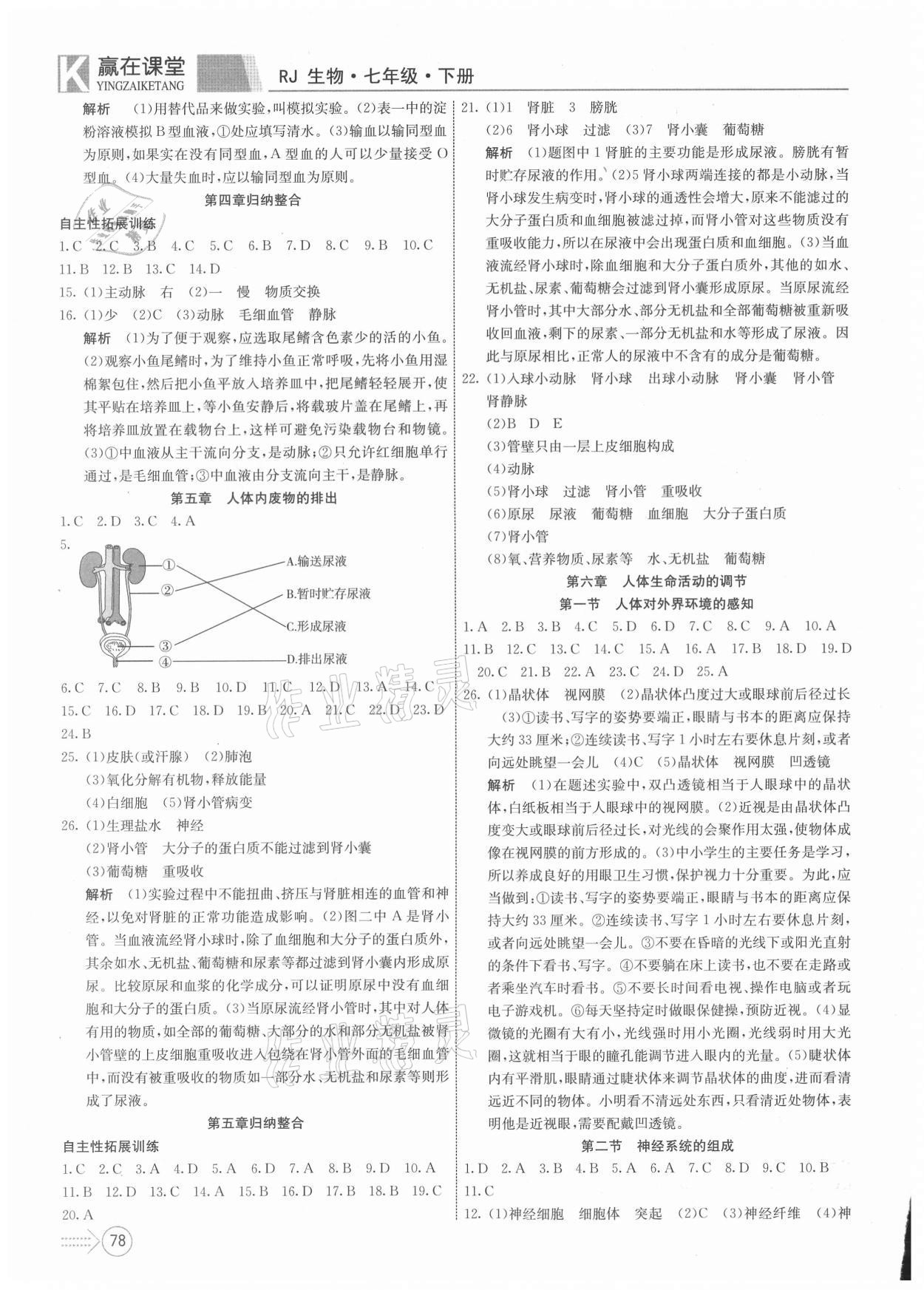 2021年贏在課堂課堂全優(yōu)訓(xùn)練一本通七年級生物下冊人教版 參考答案第4頁