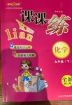 2021年鐘書金牌課課練九年級化學(xué)下冊