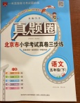 2021年真題圈五年級(jí)語文下冊(cè)人教版北京專版