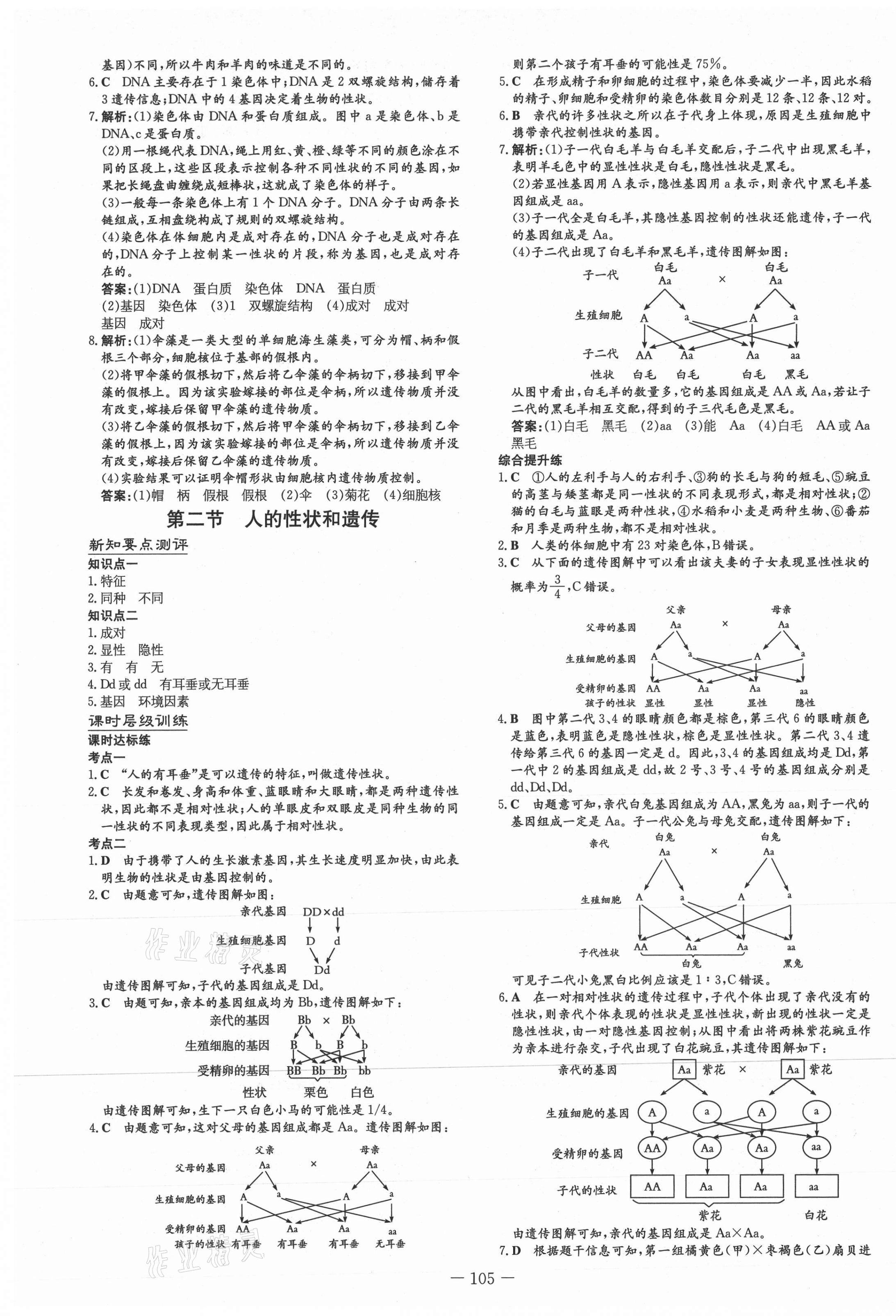 2021年練案八年級生物下冊蘇教版 第5頁