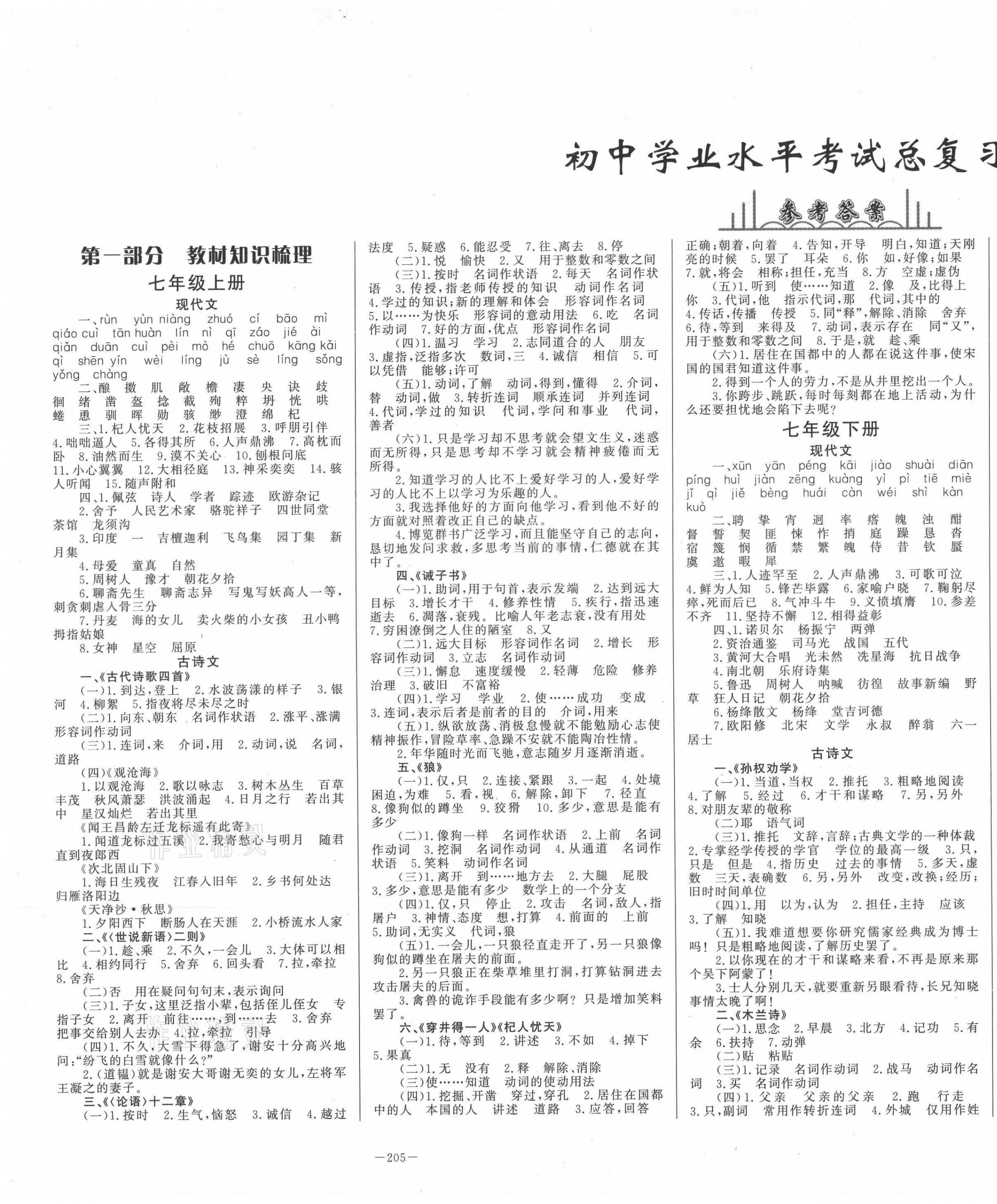 2021年初中學(xué)業(yè)水平考試總復(fù)習(xí)語文泰安專版 第1頁