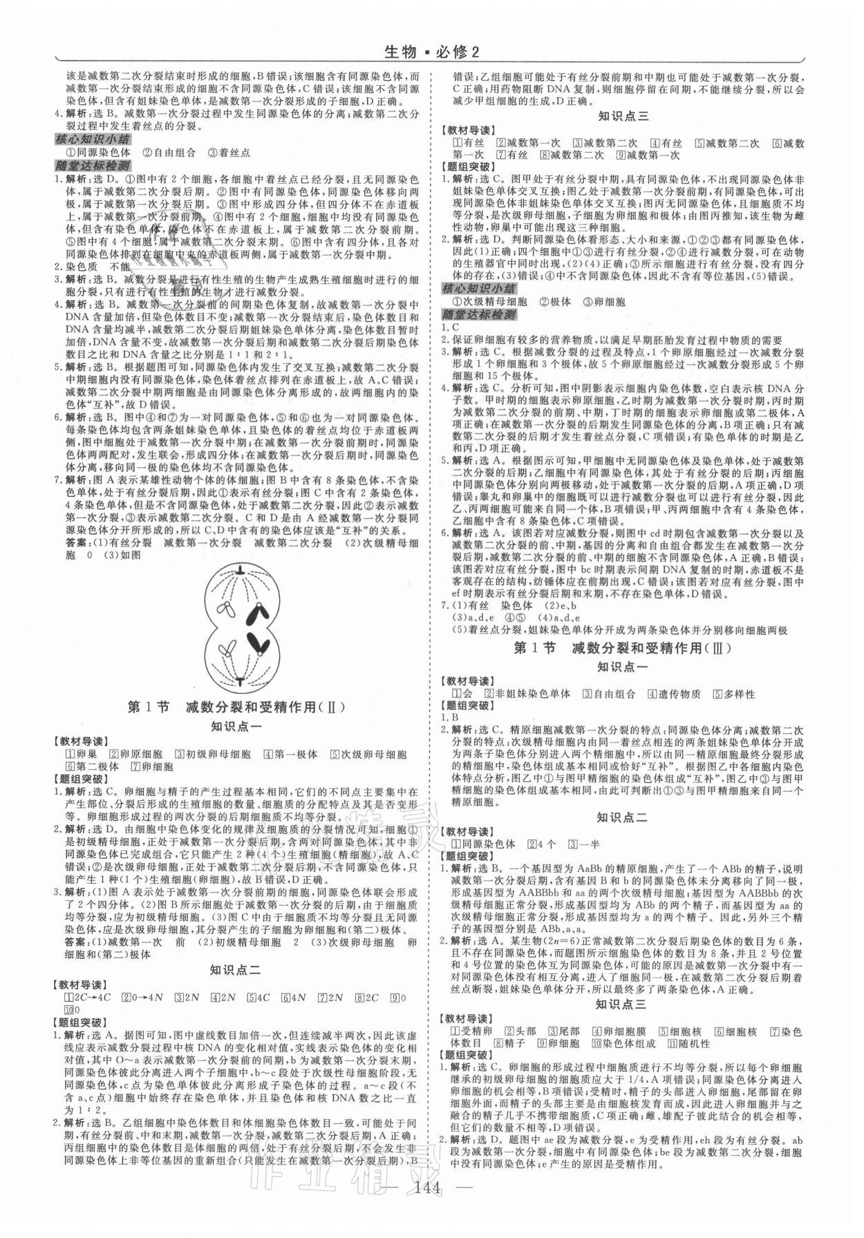 2021年新坐标同步练习高一生物必修2人教版青海专版 第4页