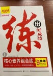 2021年練出好成績九年級物理下冊人教版河南專版